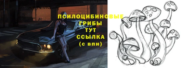 спайс Арсеньев