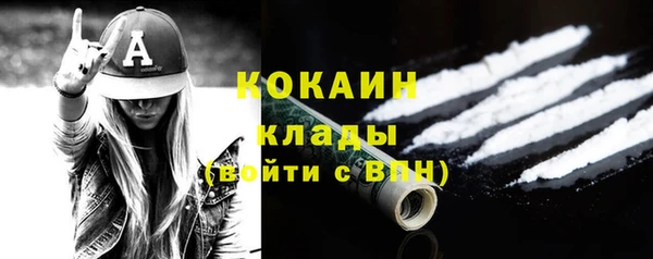 спайс Арсеньев