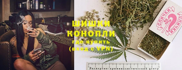 спайс Арсеньев
